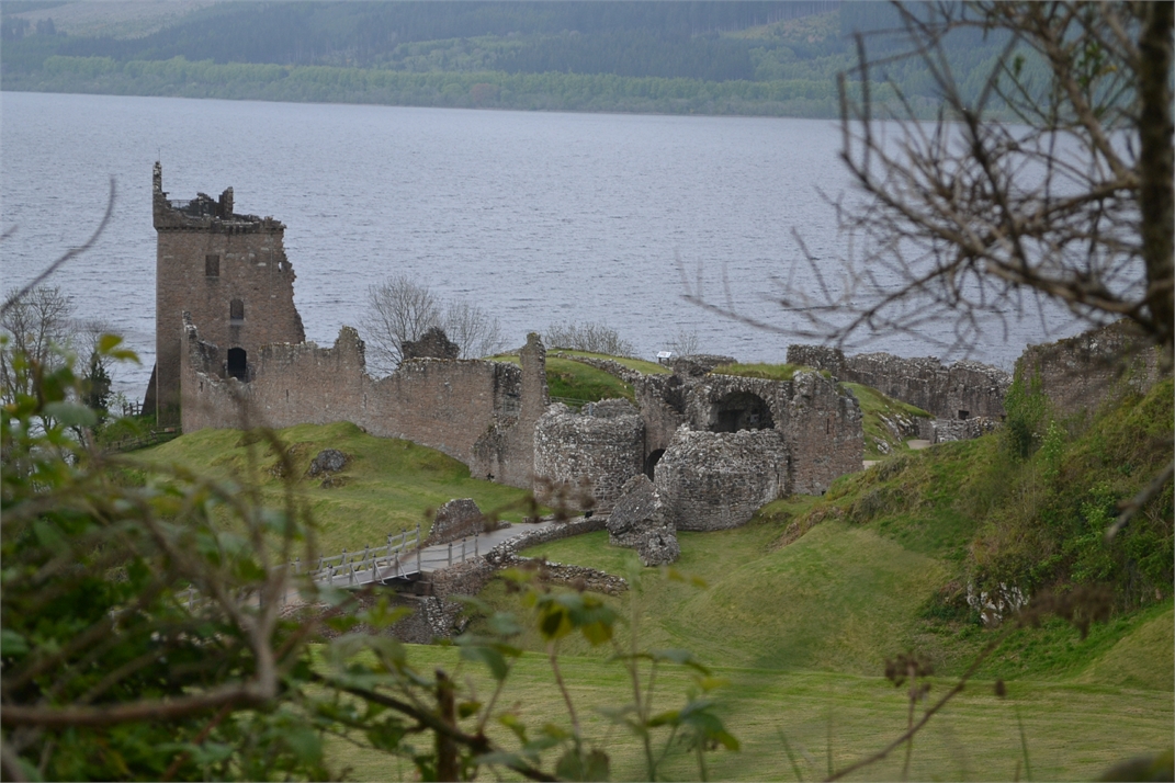 DSC_0804.jpg