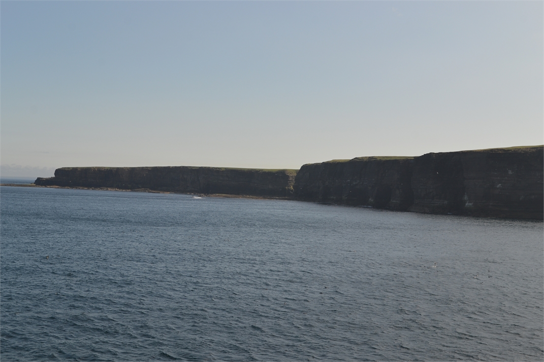 DSC_0847.jpg