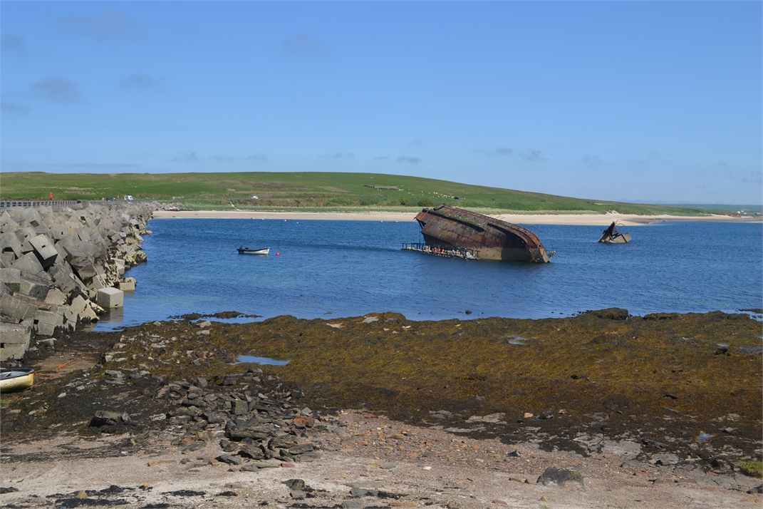 DSC_0875.jpg