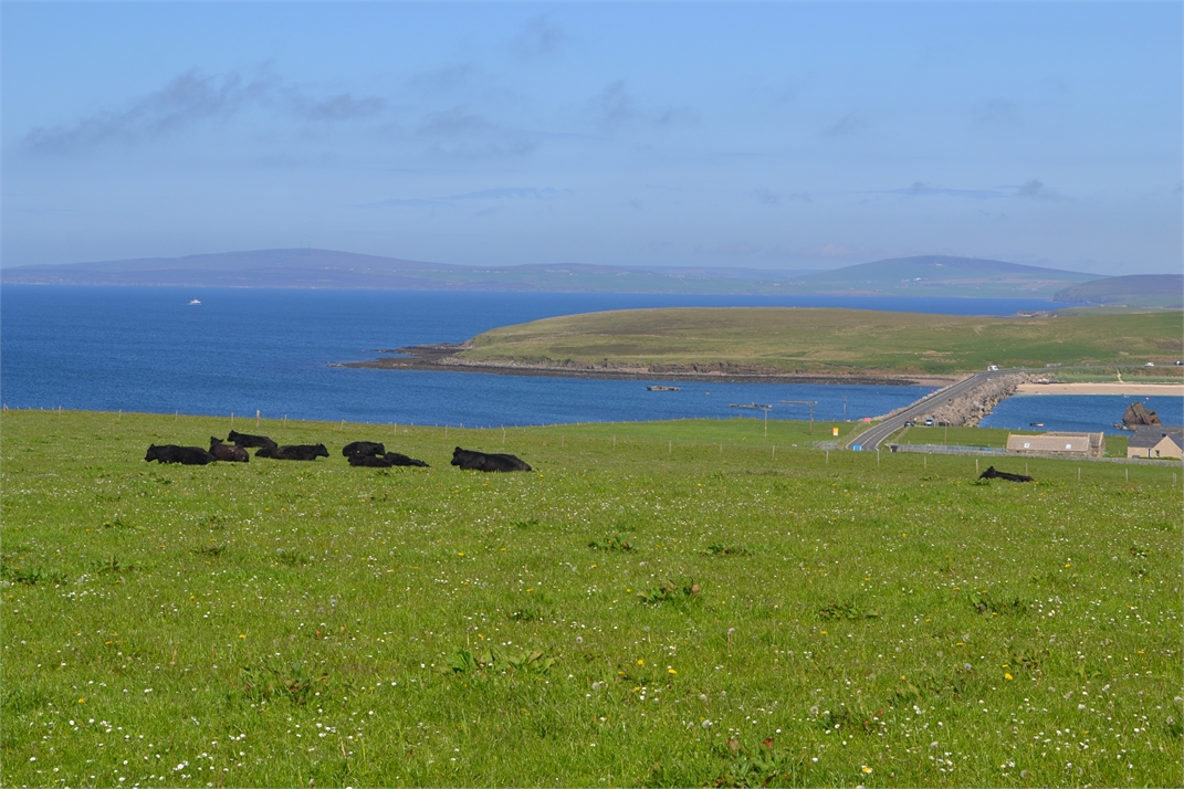 DSC_0883.jpg