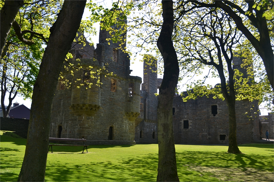 DSC_0908.jpg
