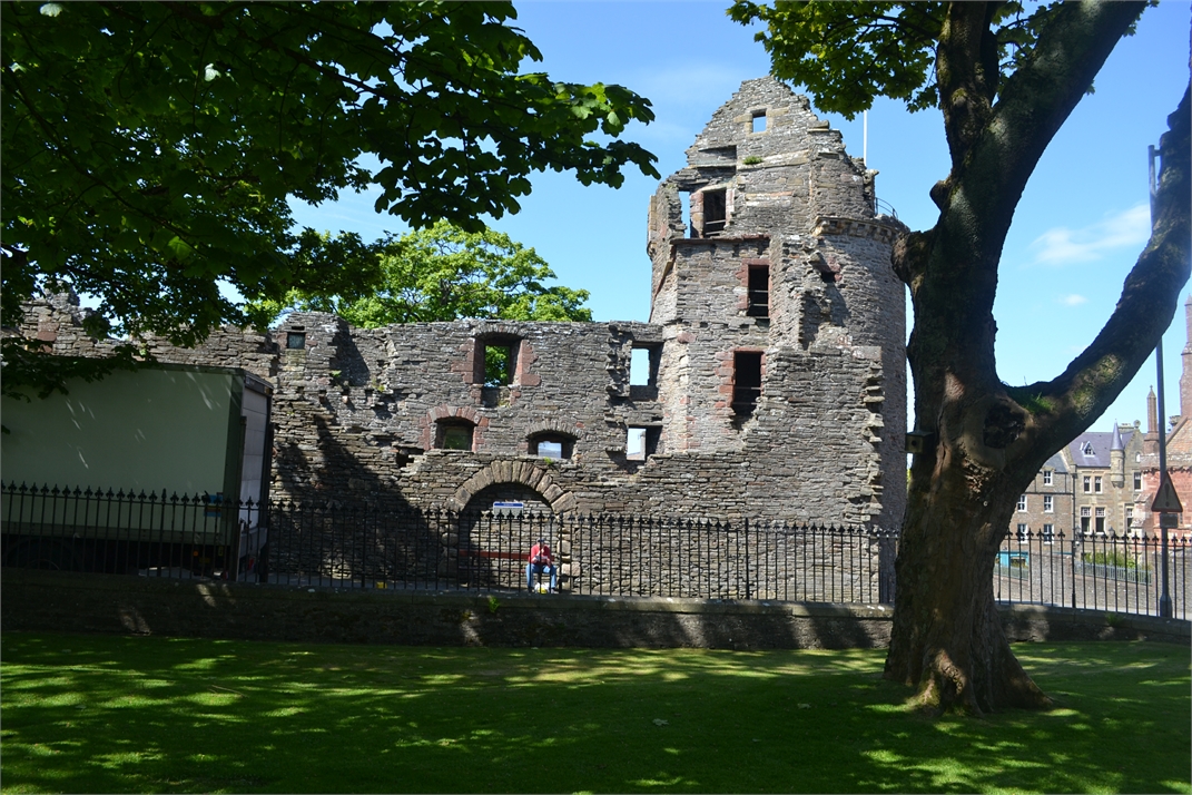 DSC_0909.jpg