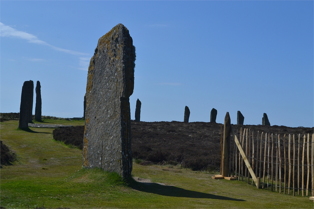 DSC_0956.jpg