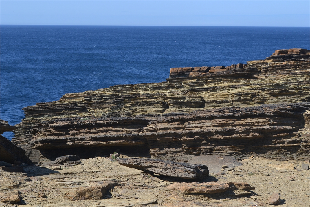 DSC_0970.jpg