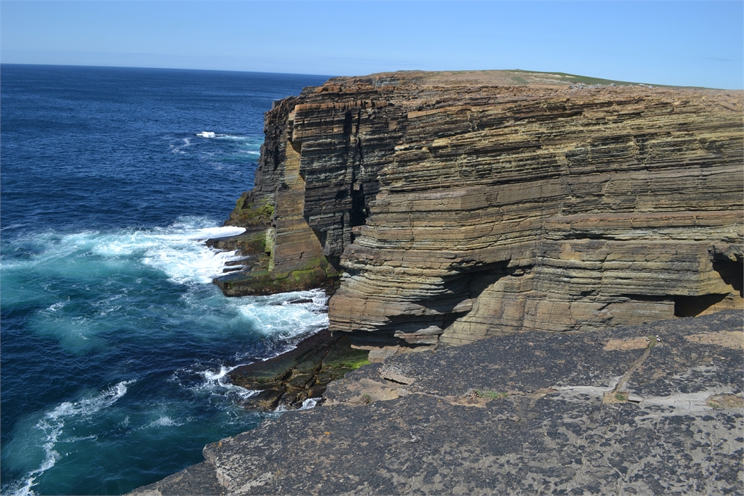 DSC_0981.jpg