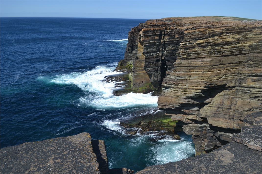 DSC_0992.jpg