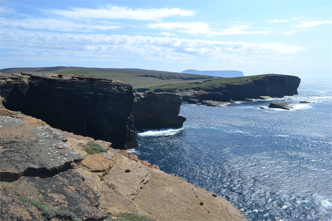 DSC_0001.JPG