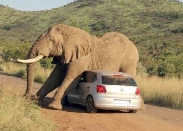 Hluhluwe.jpg