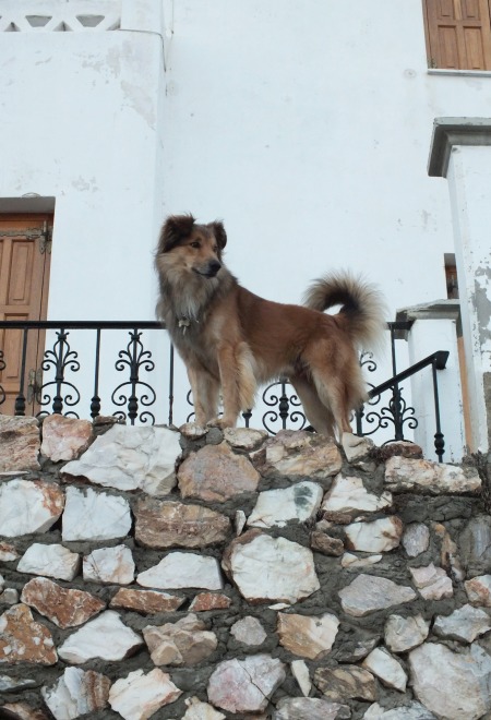 Greckie (144).jpg
