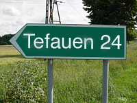 tefauen_24.jpg