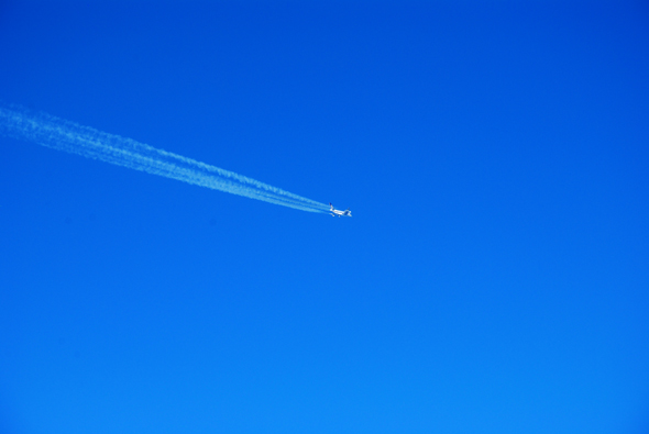 DSC_0376.jpg