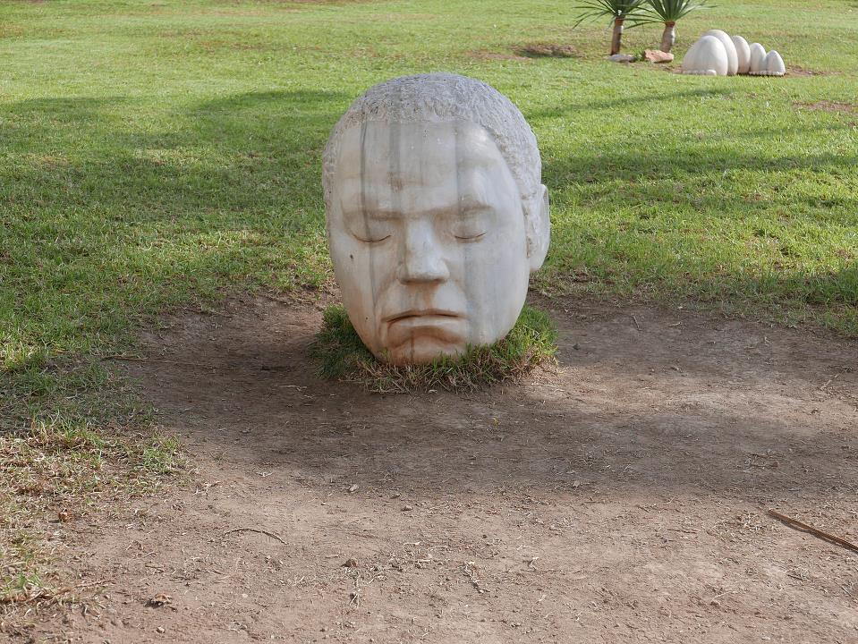 P1020019.jpg