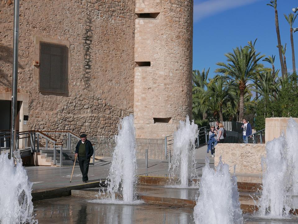 P1020071.jpg