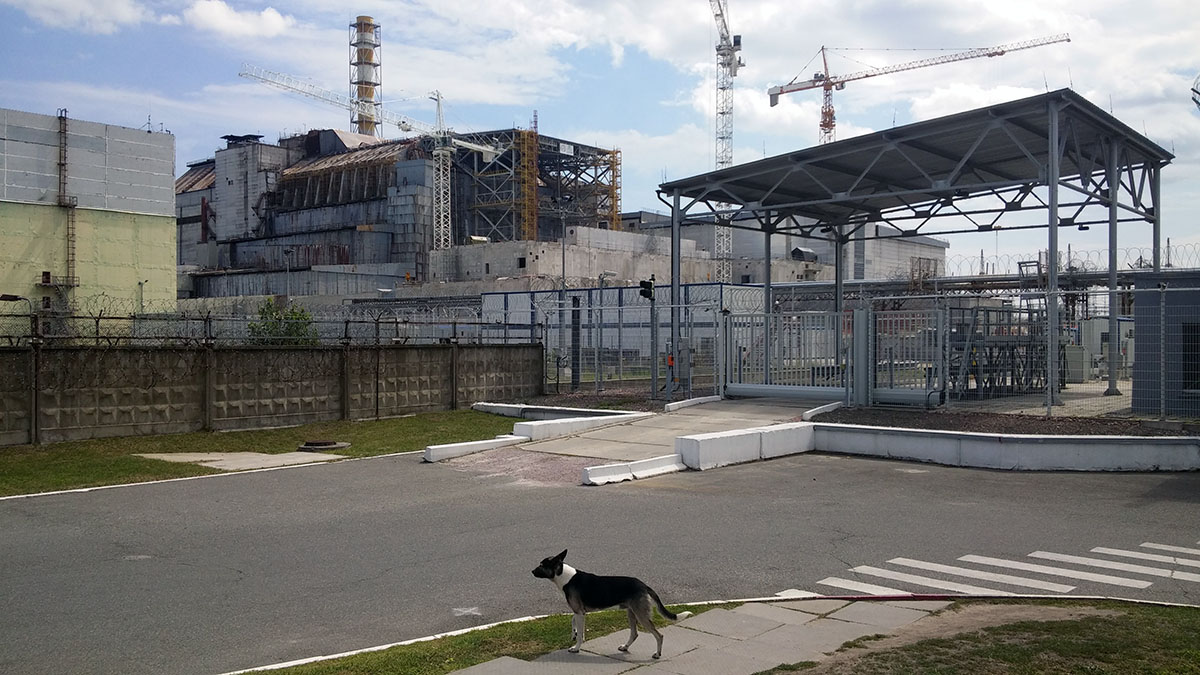 20160730_132609.jpg