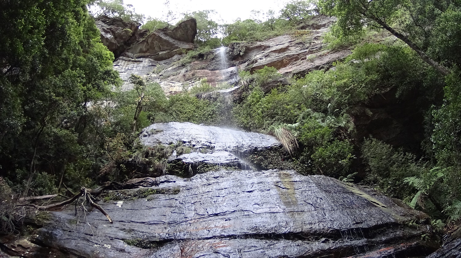 DSC00080.JPG