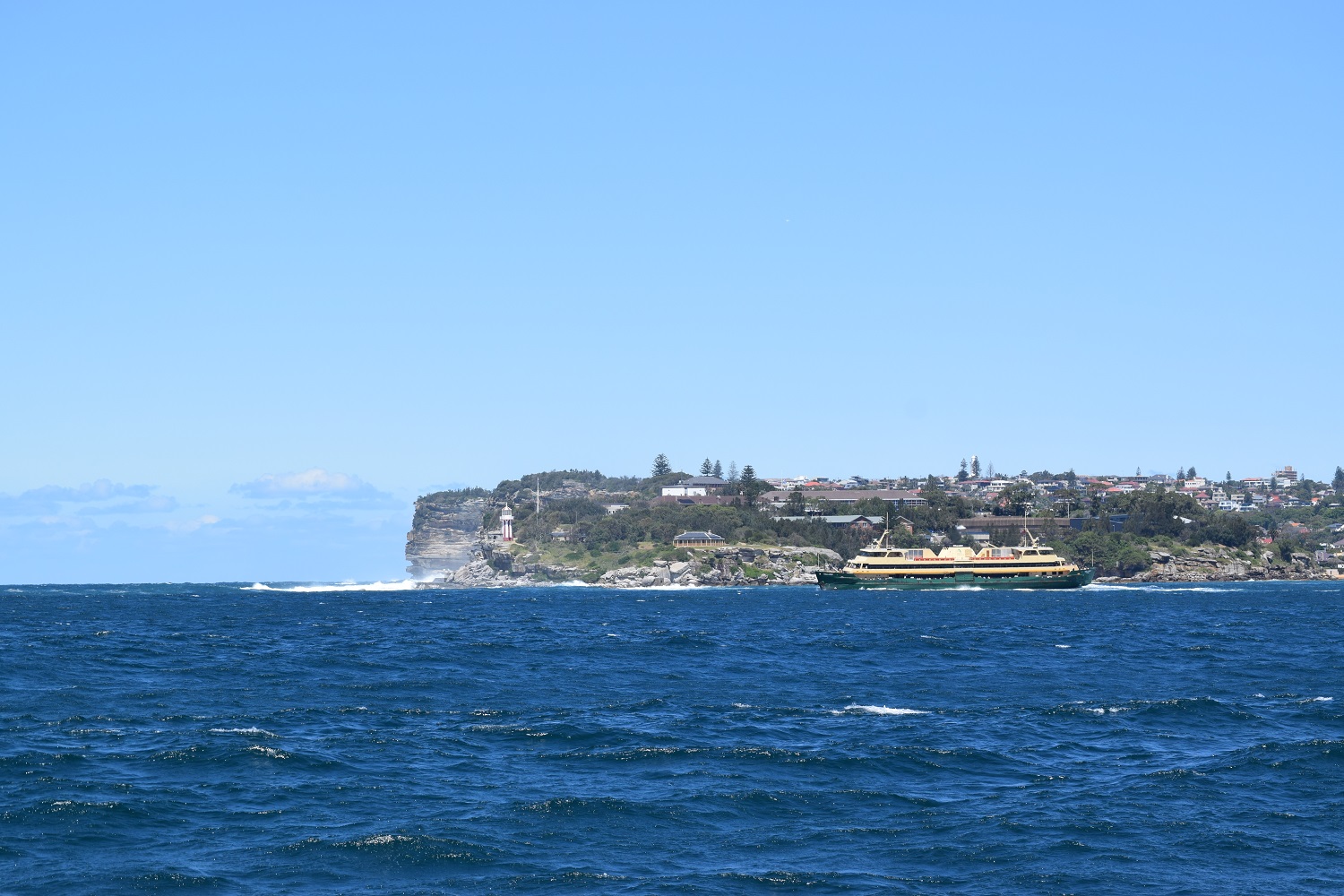 DSC_0273.JPG