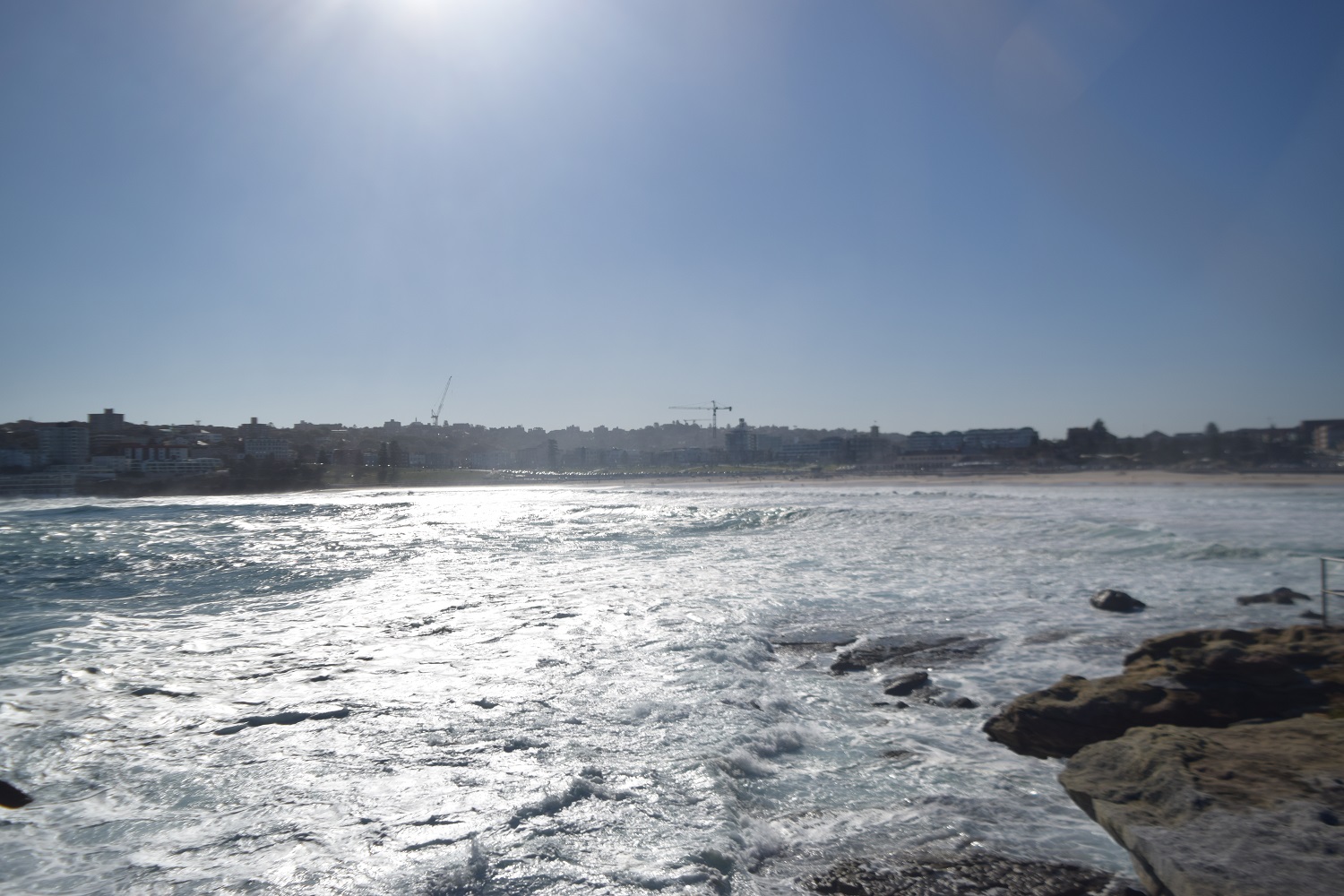DSC_0339.JPG