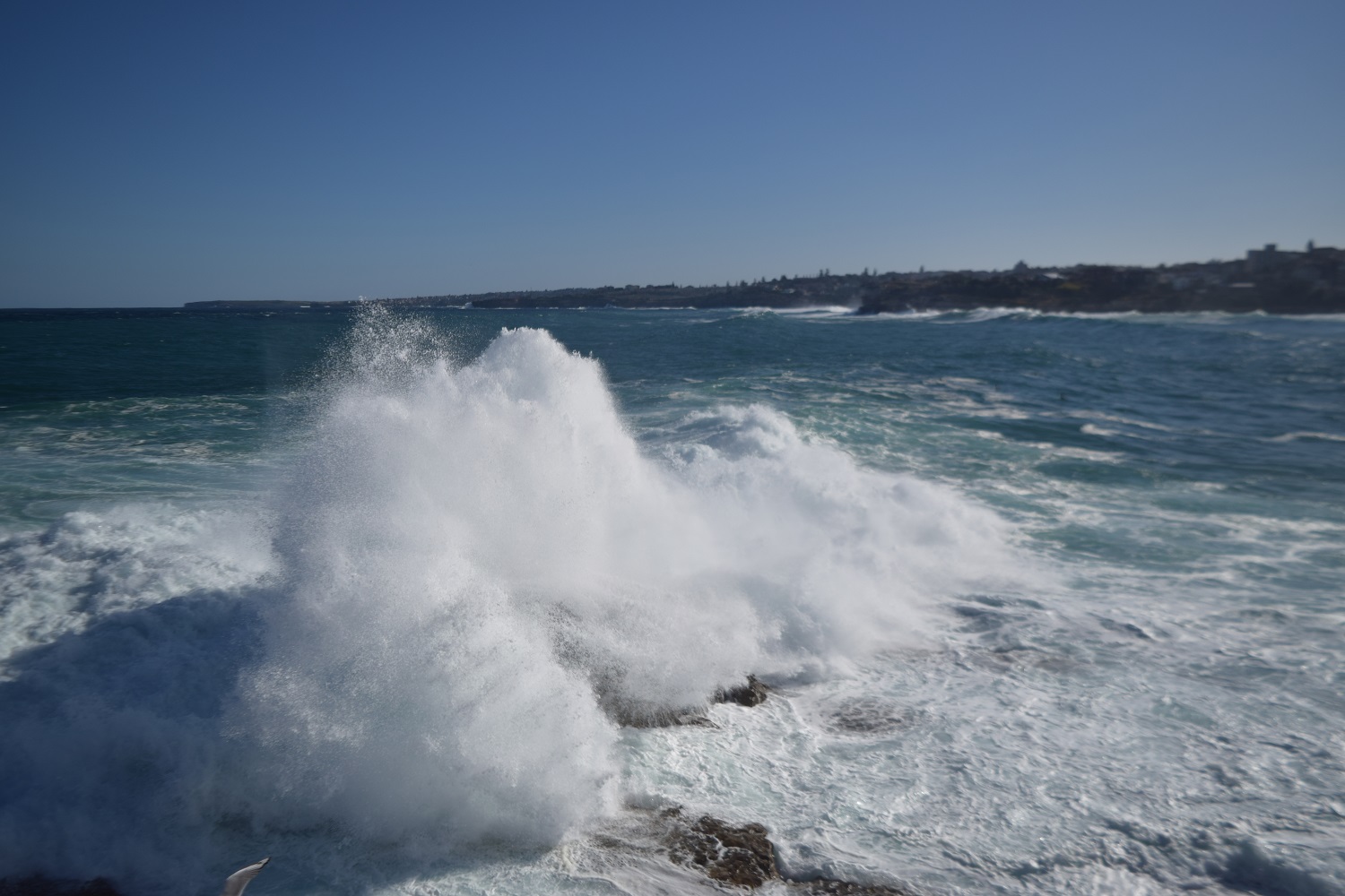 DSC_0343.JPG
