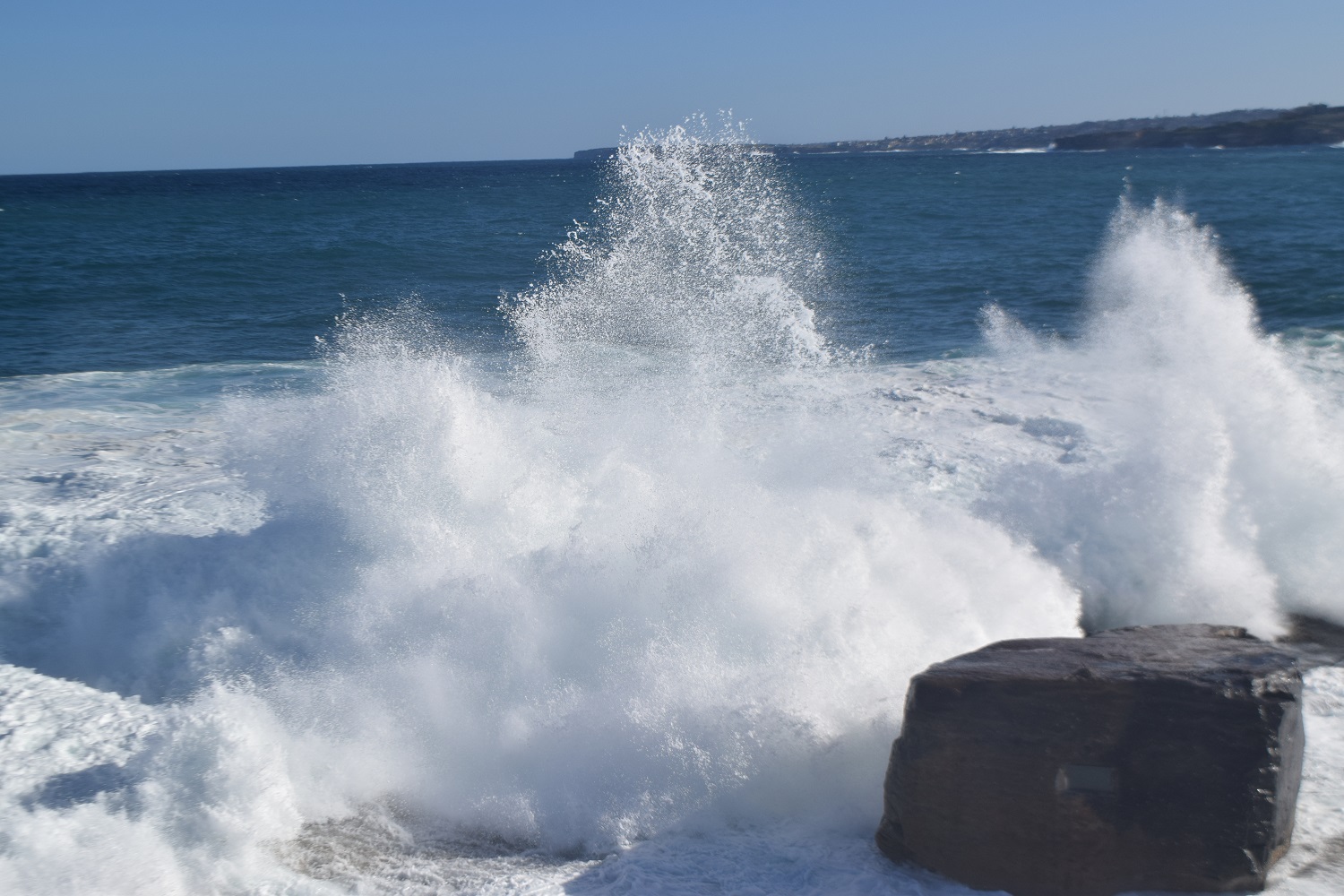 DSC_0408.JPG