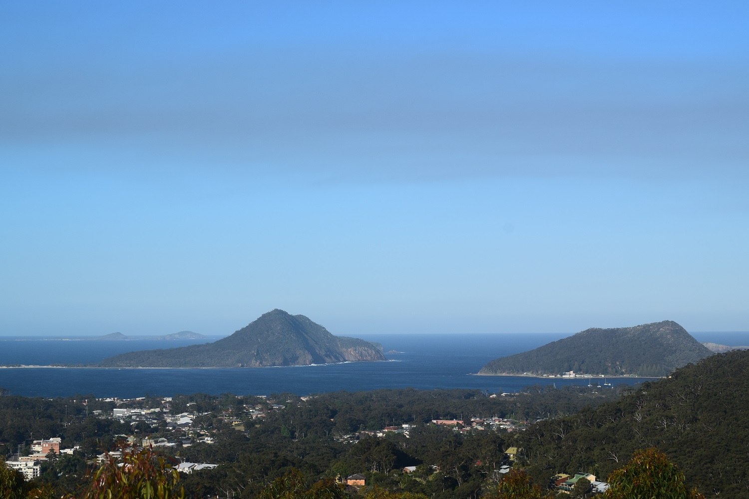 DSC_0504.JPG