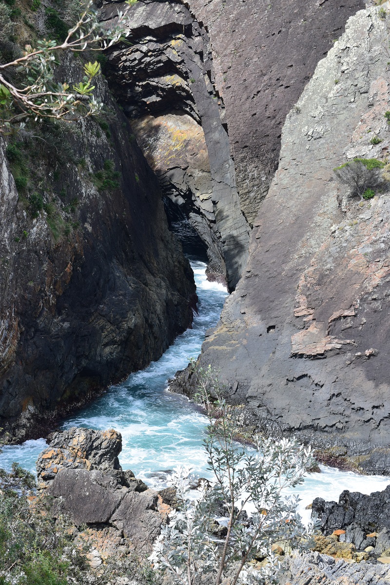 DSC_0637.JPG