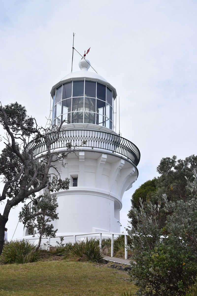 DSC_0665.JPG