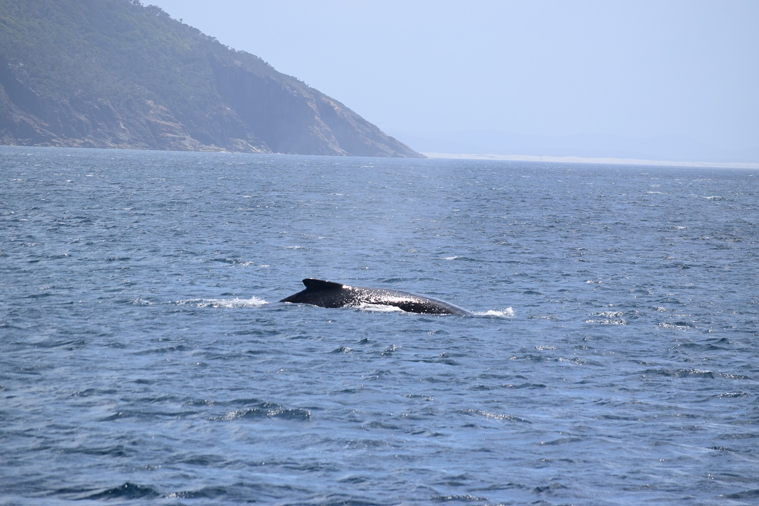 DSC_0742.JPG
