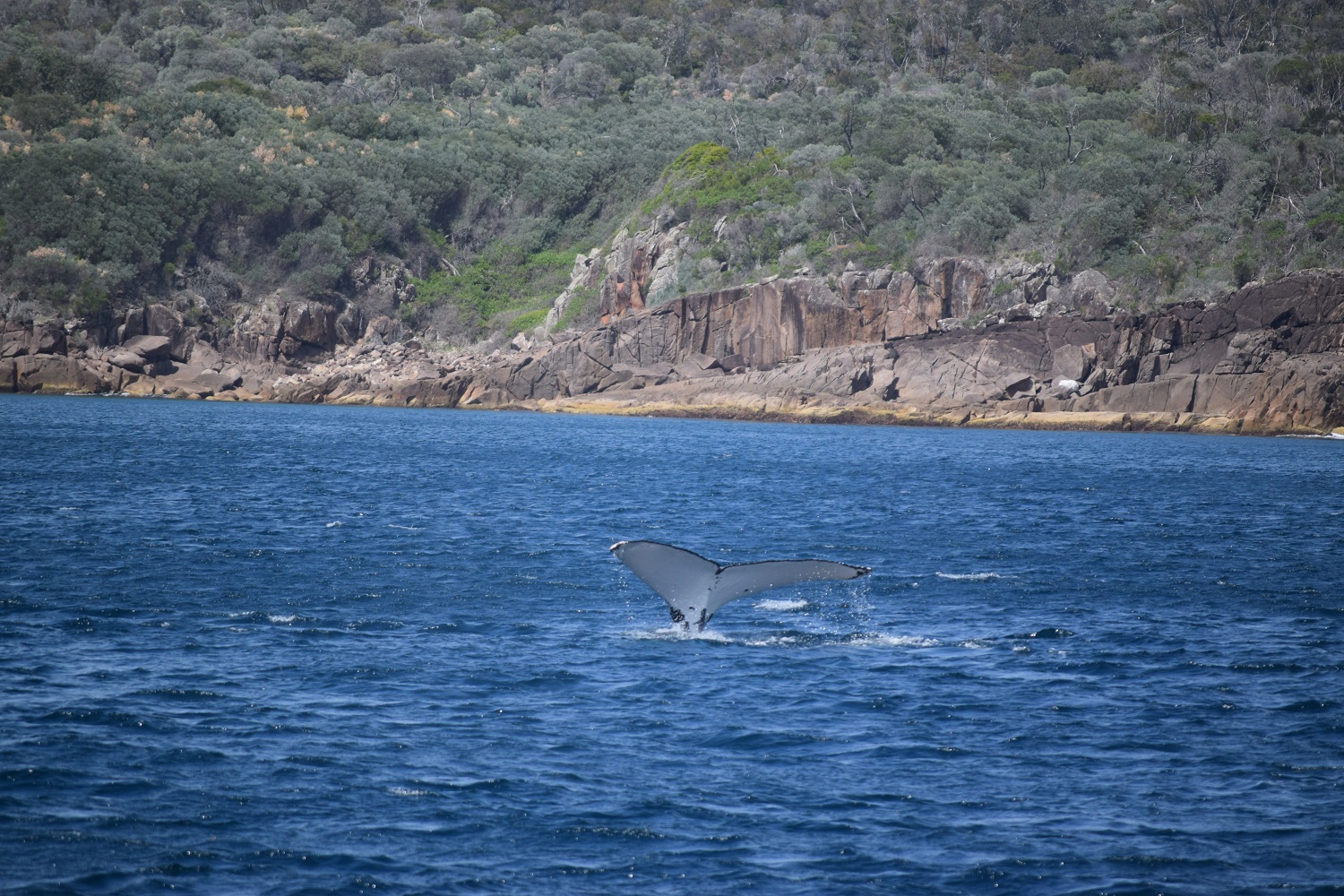 DSC_0751.JPG