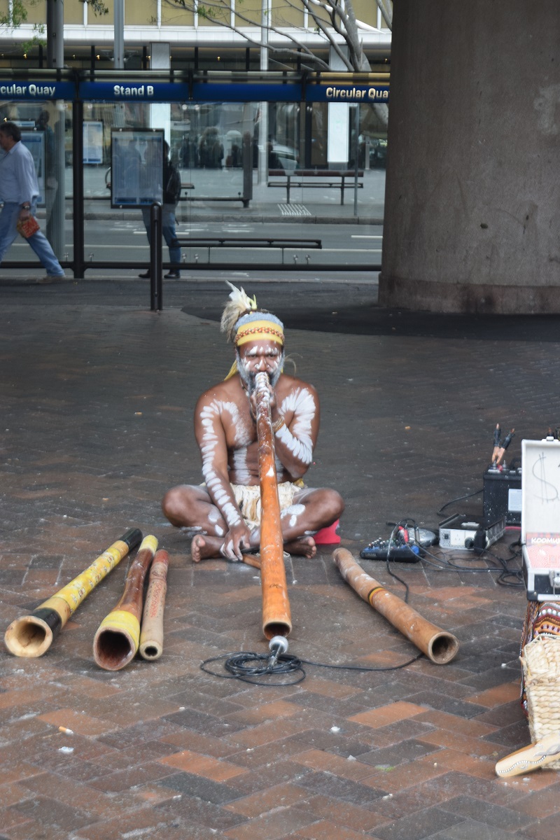 DSC_0053.JPG
