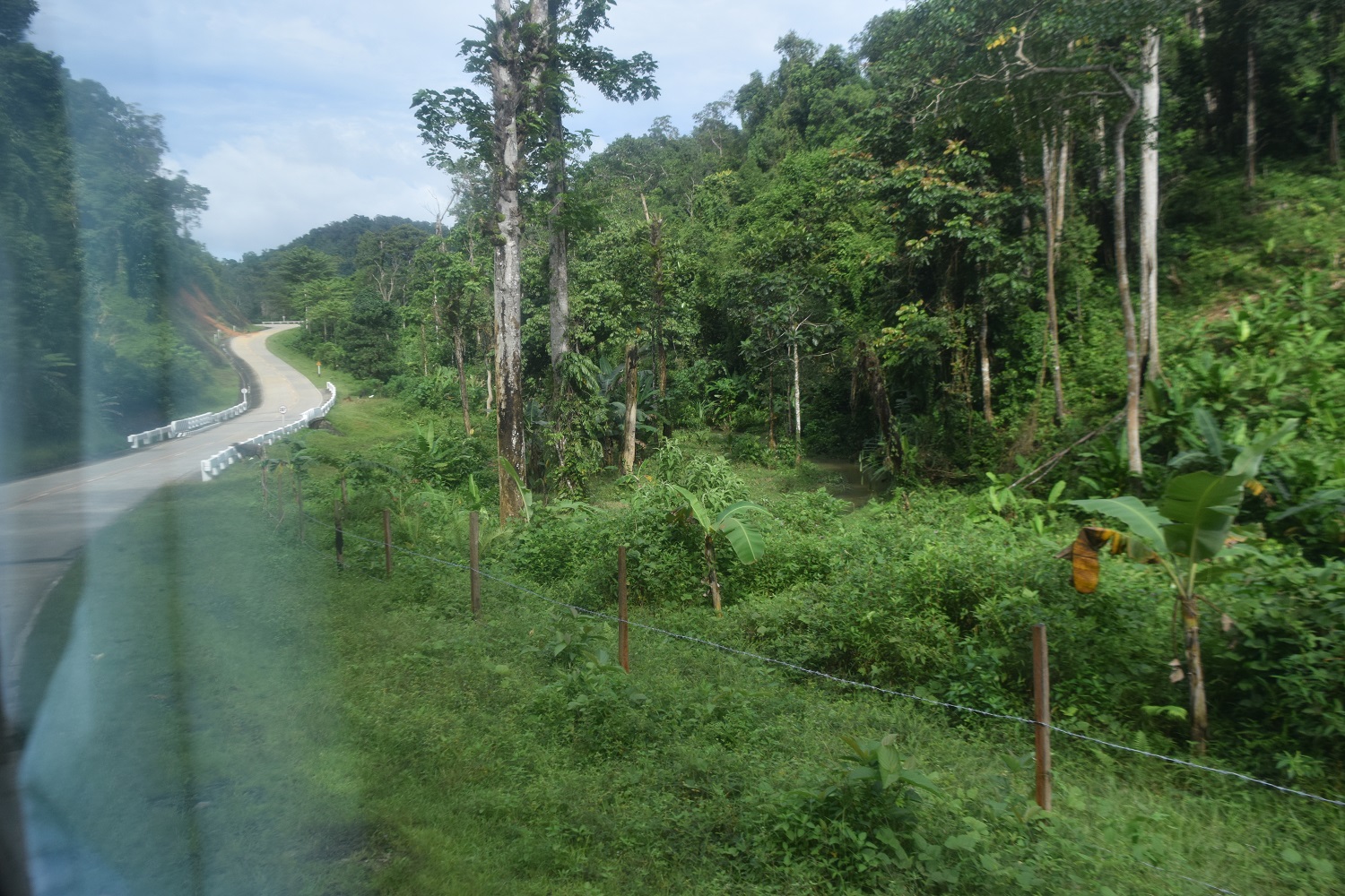 DSC_0254.JPG