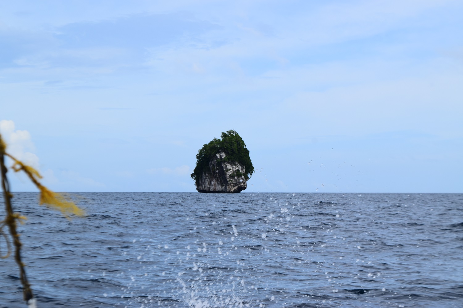DSC_0322.JPG