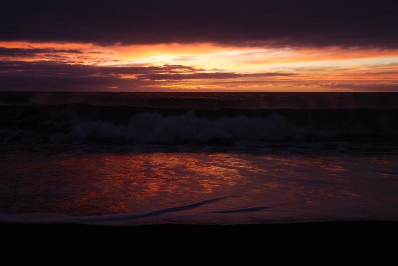 DSC_0204.JPG