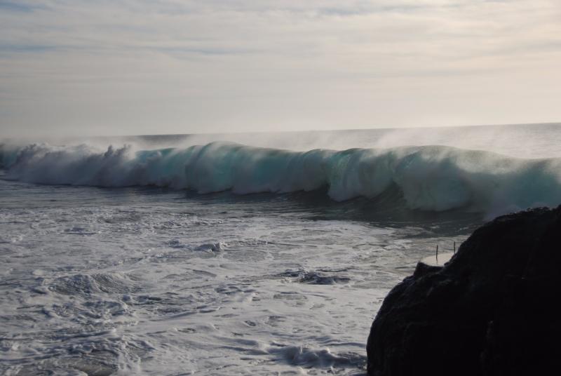 DSC_0360.JPG