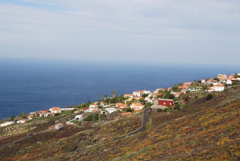 DSC_0425.JPG