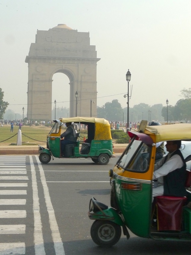 delhi2015 (1).JPG