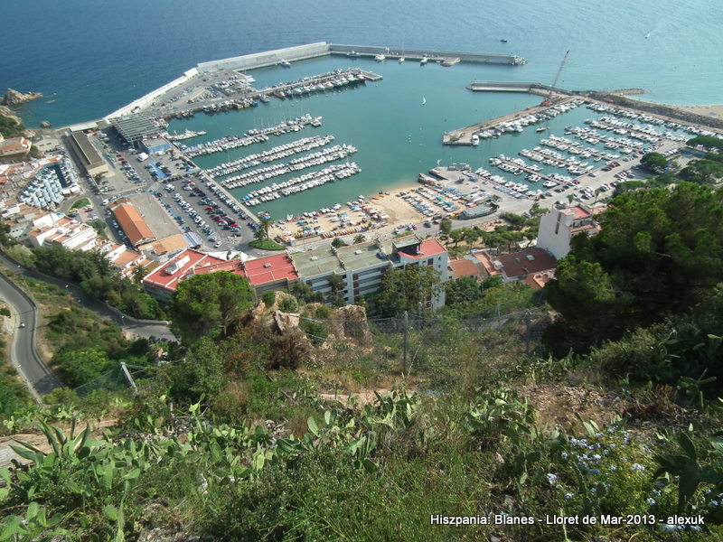 DSCF1272.JPG