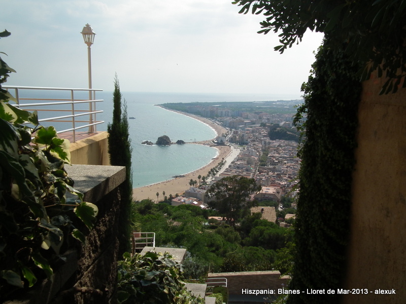 DSCF1254.JPG