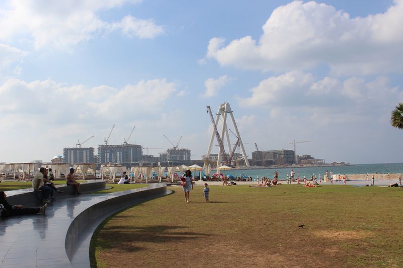 d72.jpg