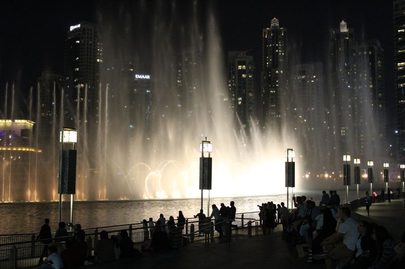 d711.jpg