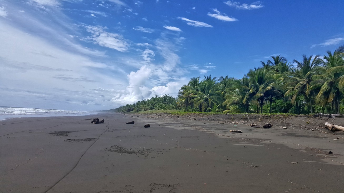 parrita beach1a.JPG