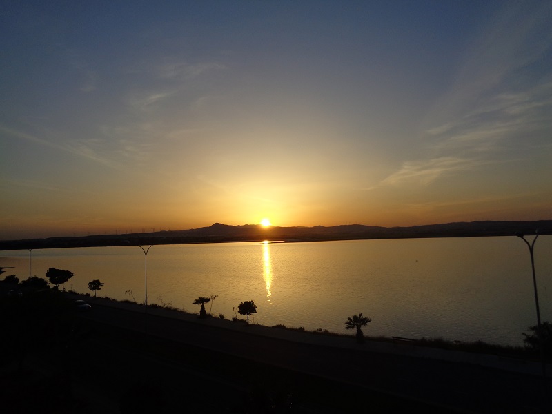 DSC00306.jpg