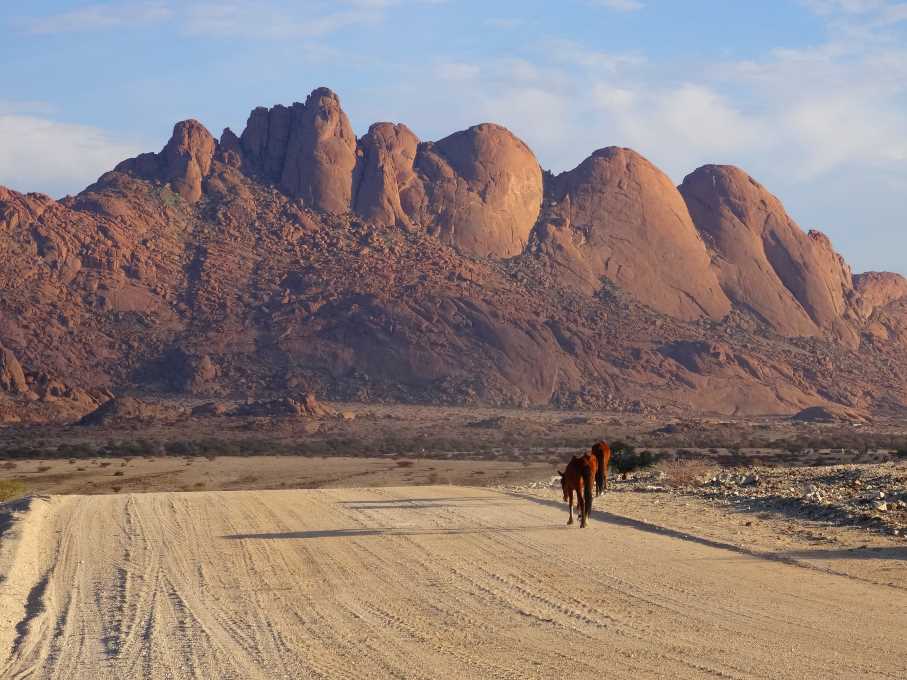 6_2 Spitzkoppe konie.jpg