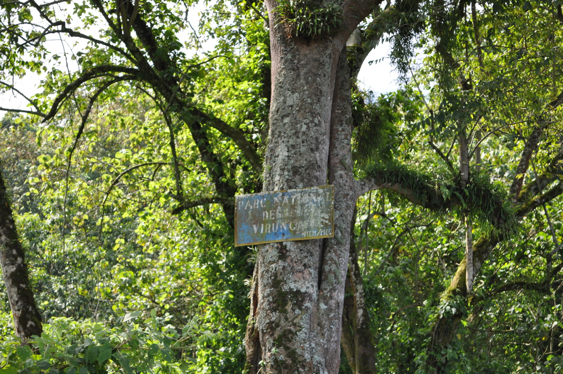 DSC_0274.jpg