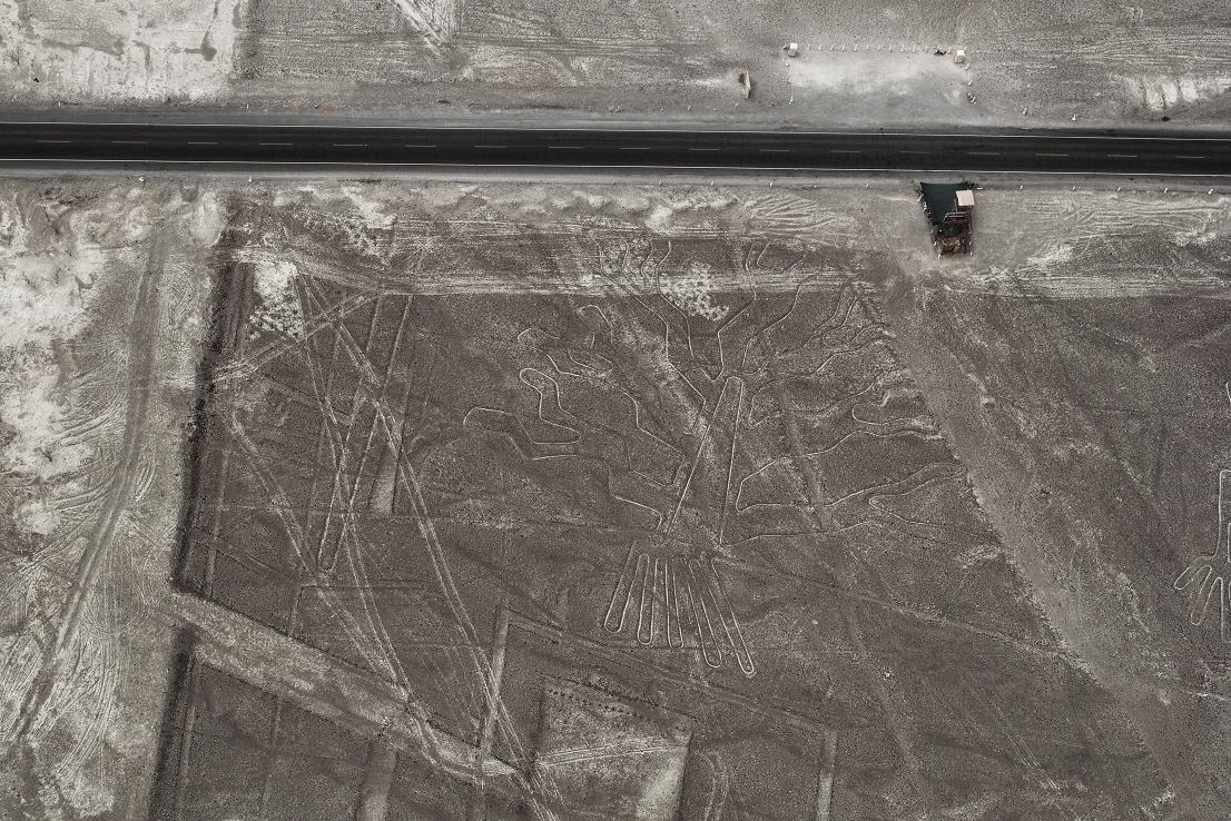 80-drzewo zycia - NAZCA.JPG