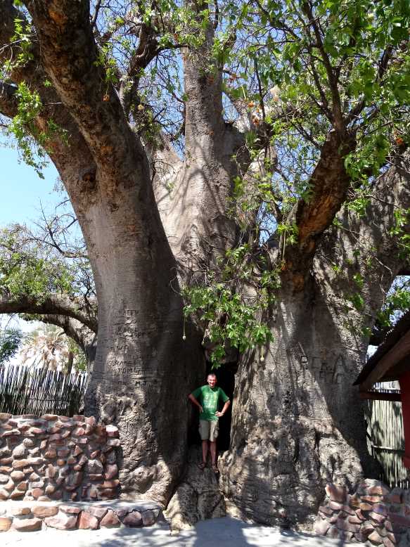 7 baobab.jpg