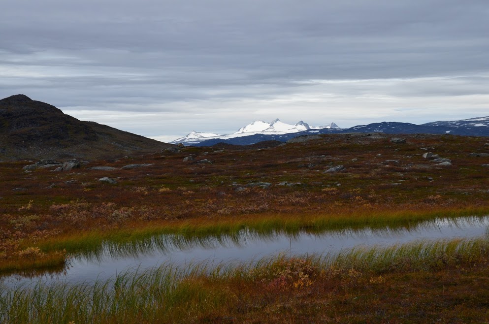 DSC_0166.JPG