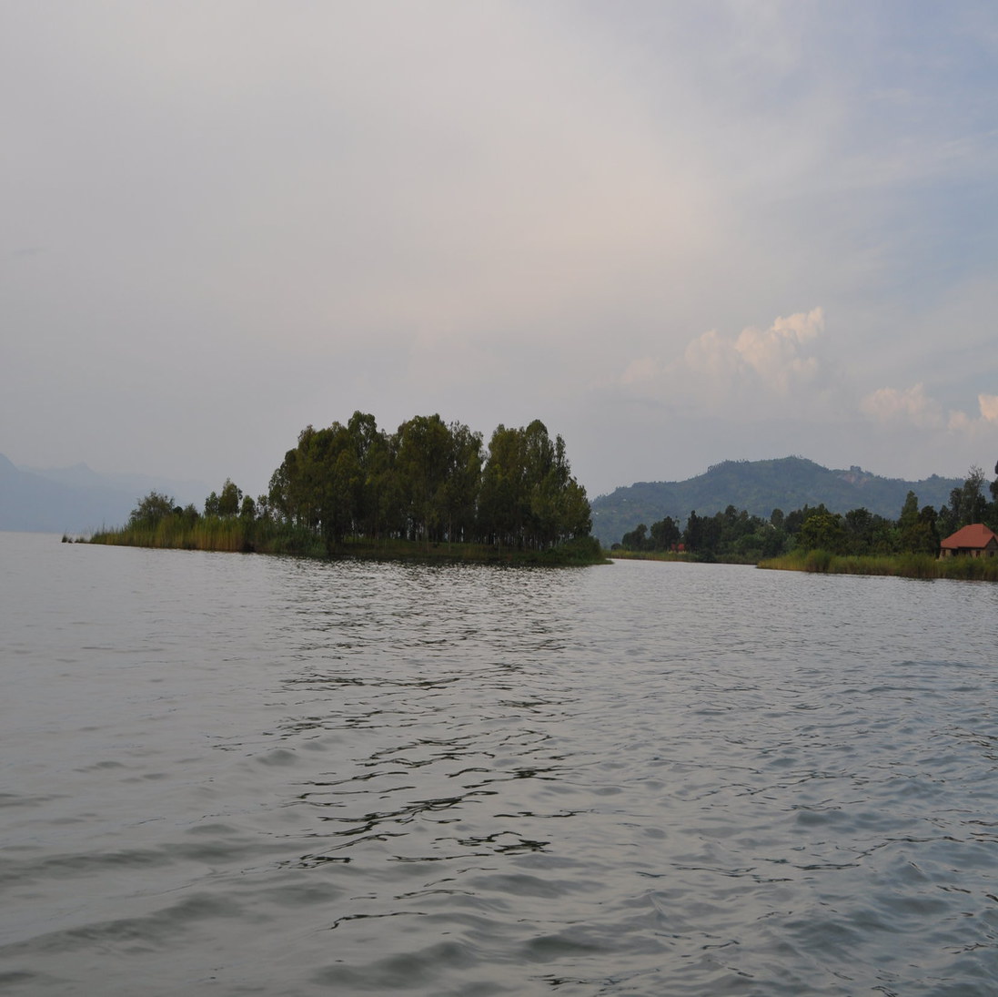 DSC_0829.jpg