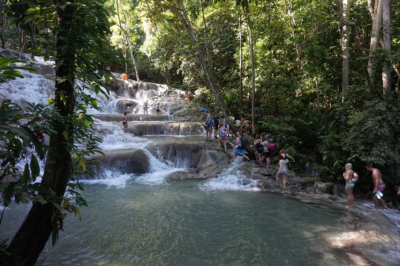 DunnsRiver4.jpg