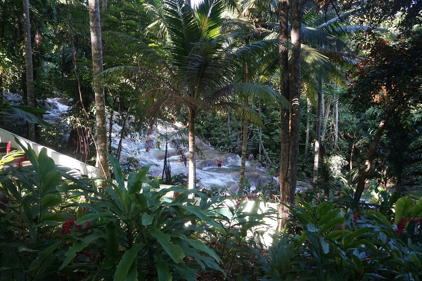 DunnsRiver6.jpg