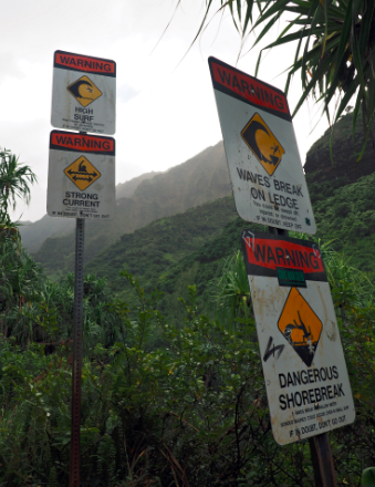 Przechwytywanie2.PNG